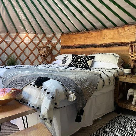 Chwilog O Dan Y Coed Luxury Yurt With Hot Tub酒店 外观 照片